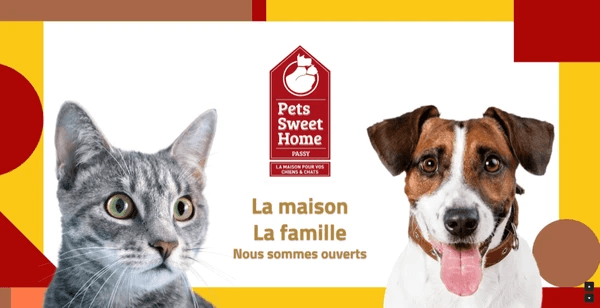 siti web per cani siti web per cani